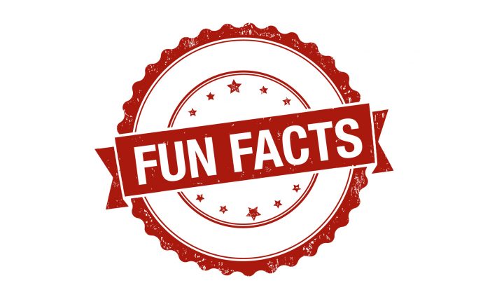 Fun Facts học từ vựng tiếng anh