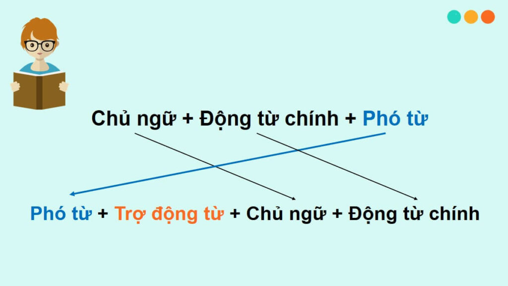 dao-ngu-cau-truc