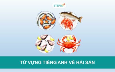 Bẻ khóa 30+ từ vựng tiếng Anh về hải sản thú vị nhất