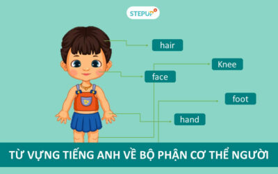 Tất cả từ vựng tiếng Anh về bộ phận cơ thể người