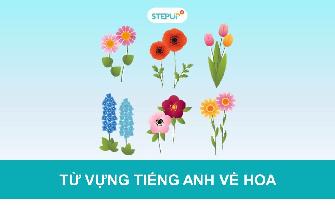 Từ vựng tiếng Anh về hoa và ý nghĩa các loài hoa