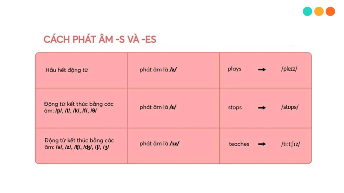 Động từ thêm s